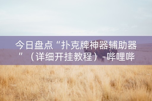 今日盘点“扑克牌神器辅助器”（详细开挂教程）-哔哩哔哩