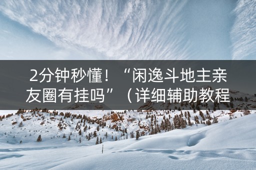 2分钟秒懂！“闲逸斗地主亲友圈有挂吗”（详细辅助教程）-哔哩哔哩