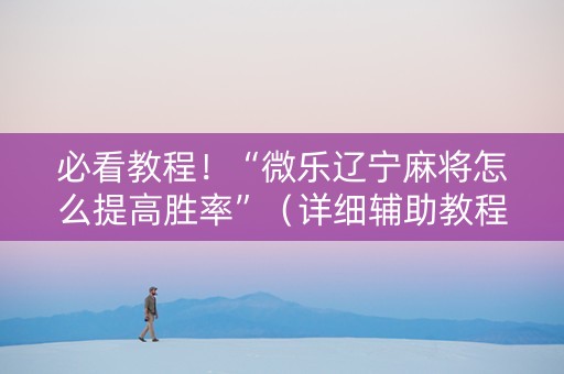 必看教程！“微乐辽宁麻将怎么提高胜率”（详细辅助教程）-哔哩哔哩