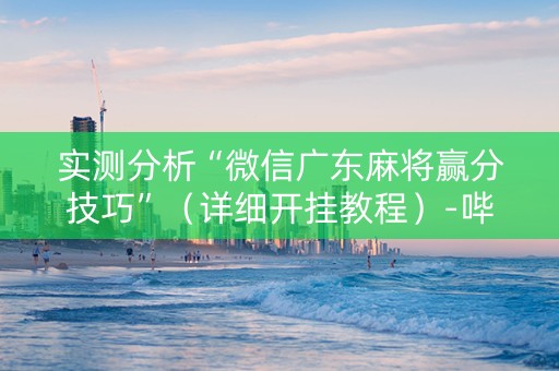 实测分析“微信广东麻将赢分技巧”（详细开挂教程）-哔哩哔哩