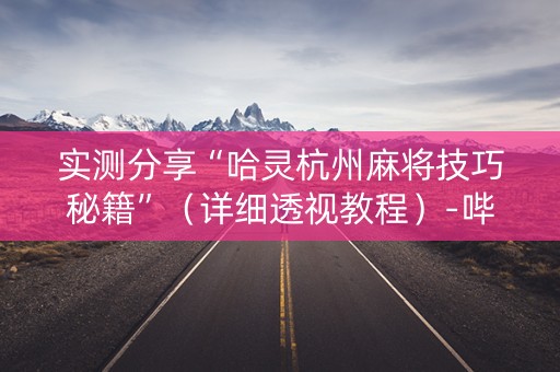 实测分享“哈灵杭州麻将技巧秘籍”（详细透视教程）-哔哩哔哩