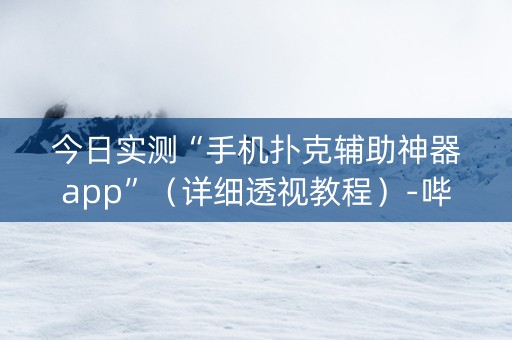 今日实测“手机扑克辅助神器app”（详细透视教程）-哔哩哔哩