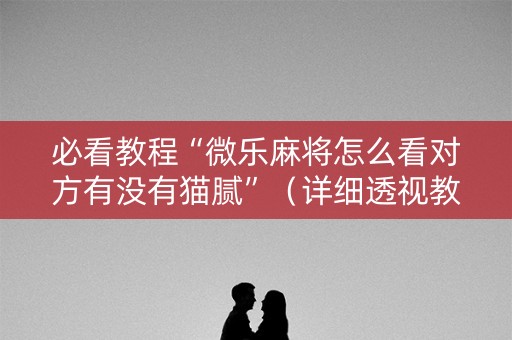 必看教程“微乐麻将怎么看对方有没有猫腻”（详细透视教程）-哔哩哔哩