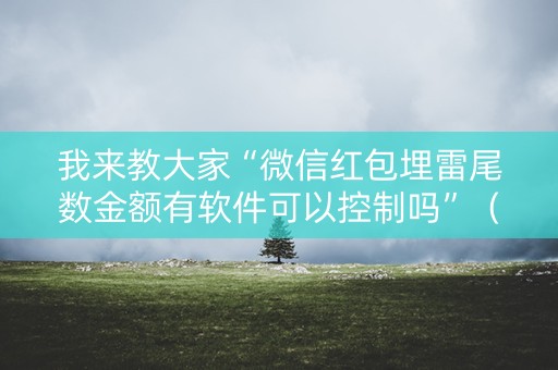 我来教大家“微信红包埋雷尾数金额有软件可以控制吗”（详细透视教程）-哔哩哔哩