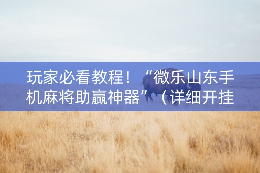 玩家必看教程！“微乐山东手机麻将助赢神器”（详细开挂教程）-哔哩哔哩
