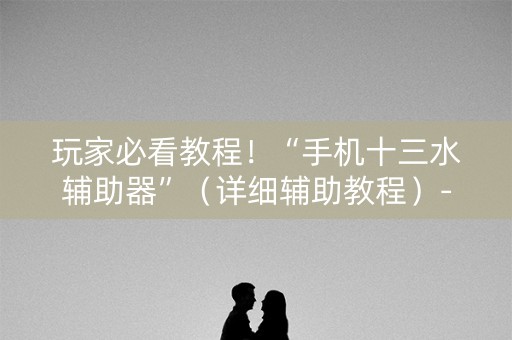 玩家必看教程！“手机十三水辅助器”（详细辅助教程）-哔哩哔哩