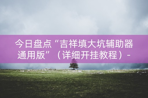 今日盘点“吉祥填大坑辅助器通用版”（详细开挂教程）-哔哩哔哩