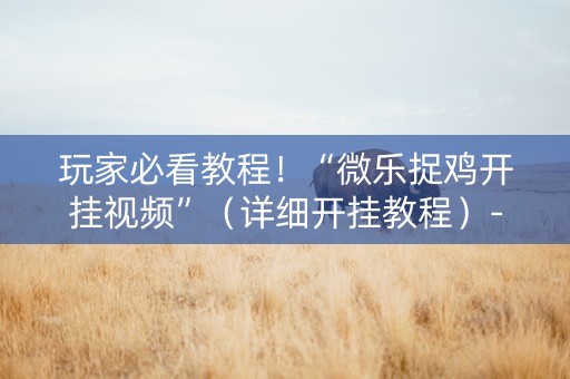 玩家必看教程！“微乐捉鸡开挂视频”（详细开挂教程）-哔哩哔哩