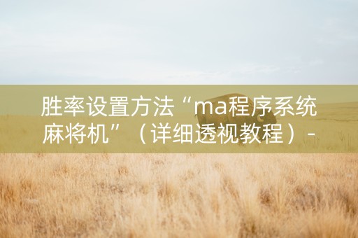 胜率设置方法“ma程序系统麻将机”（详细透视教程）-哔哩哔哩