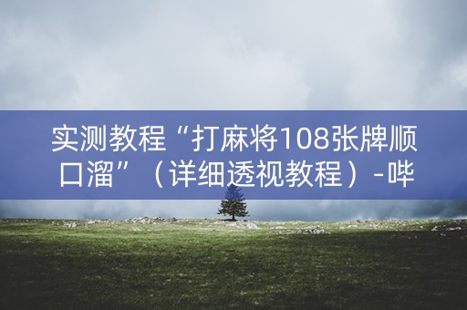 实测教程“打麻将108张牌顺口溜”（详细透视教程）-哔哩哔哩