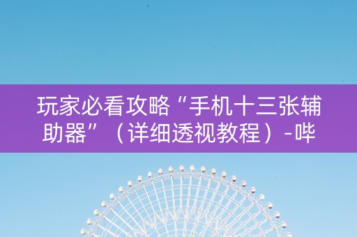 玩家必看攻略“手机十三张辅助器”（详细透视教程）-哔哩哔哩