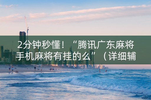 2分钟秒懂！“腾讯广东麻将手机麻将有挂的么”（详细辅助教程）-哔哩哔哩