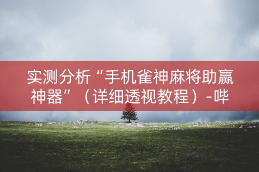 实测分析“手机雀神麻将助赢神器”（详细透视教程）-哔哩哔哩