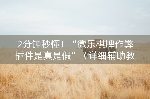 2分钟秒懂！“微乐棋牌作弊插件是真是假”（详细辅助教程）-哔哩哔哩