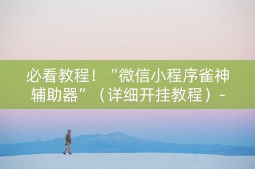 必看教程！“微信小程序雀神辅助器”（详细开挂教程）-哔哩哔哩
