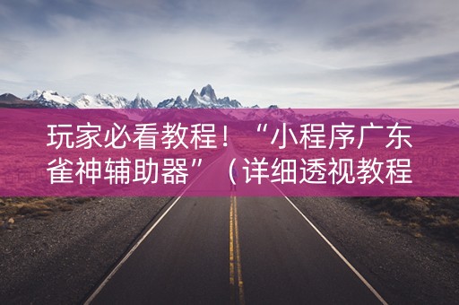 玩家必看教程！“小程序广东雀神辅助器”（详细透视教程）-哔哩哔哩
