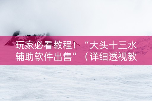 玩家必看教程！“大头十三水辅助软件出售”（详细透视教程）-哔哩哔哩