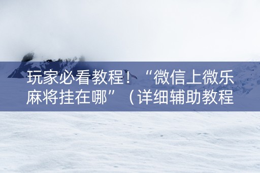玩家必看教程！“微信上微乐麻将挂在哪”（详细辅助教程）-哔哩哔哩