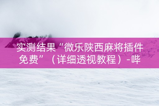 实测结果“微乐陕西麻将插件免费”（详细透视教程）-哔哩哔哩
