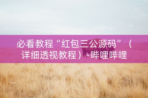 必看教程“红包三公源码”（详细透视教程）-哔哩哔哩