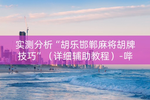实测分析“胡乐邯郸麻将胡牌技巧”（详细辅助教程）-哔哩哔哩