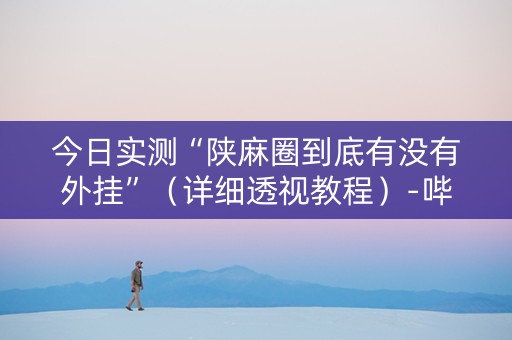 今日实测“陕麻圈到底有没有外挂”（详细透视教程）-哔哩哔哩