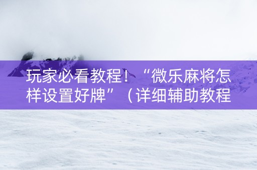 玩家必看教程！“微乐麻将怎样设置好牌”（详细辅助教程）-哔哩哔哩
