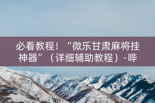 必看教程！“微乐甘肃麻将挂神器”（详细辅助教程）-哔哩哔哩