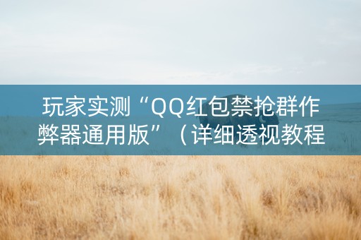 玩家实测“QQ红包禁抢群作弊器通用版”（详细透视教程）-哔哩哔哩