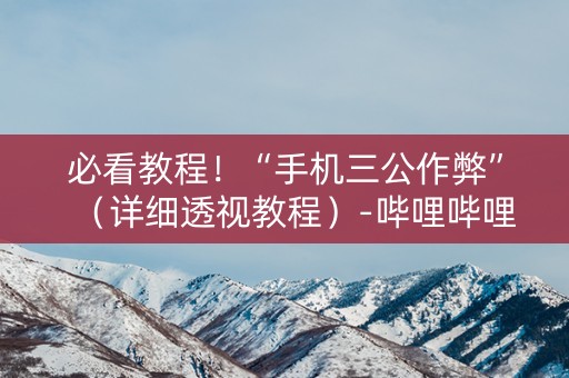 必看教程！“手机三公作弊”（详细透视教程）-哔哩哔哩
