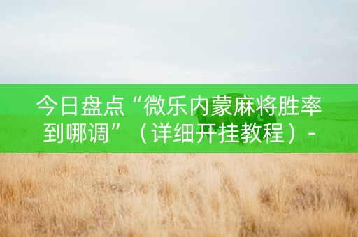 今日盘点“微乐内蒙麻将胜率到哪调”（详细开挂教程）-哔哩哔哩