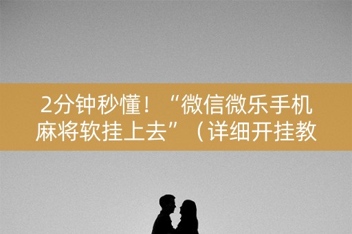 2分钟秒懂！“微信微乐手机麻将软挂上去”（详细开挂教程）-哔哩哔哩