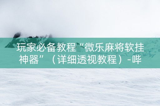 玩家必备教程“微乐麻将软挂神器”（详细透视教程）-哔哩哔哩