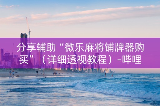 分享辅助“微乐麻将铺牌器购买”（详细透视教程）-哔哩哔哩