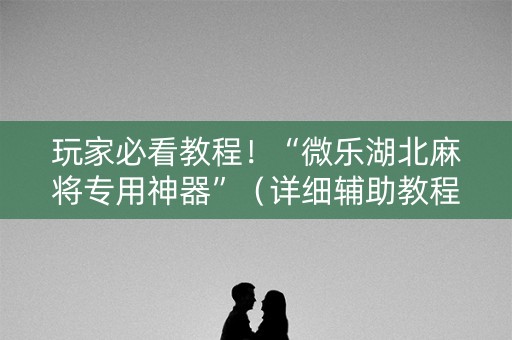 玩家必看教程！“微乐湖北麻将专用神器”（详细辅助教程）-哔哩哔哩