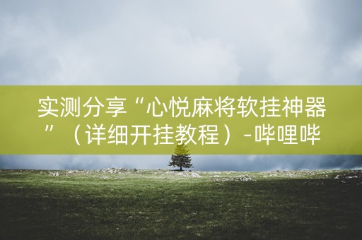 实测分享“心悦麻将软挂神器”（详细开挂教程）-哔哩哔哩