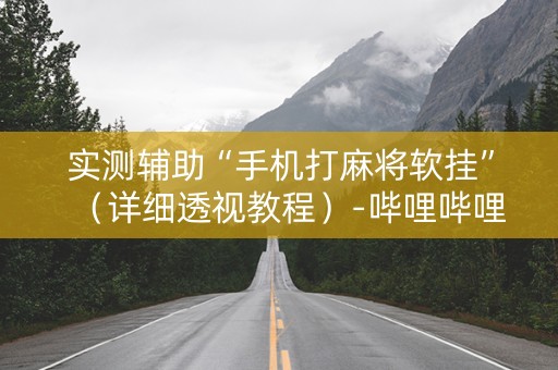 实测辅助“手机打麻将软挂”（详细透视教程）-哔哩哔哩