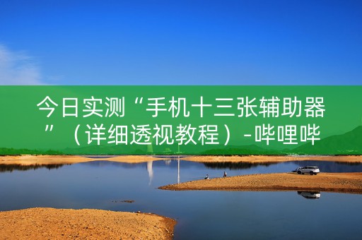 今日实测“手机十三张辅助器”（详细透视教程）-哔哩哔哩