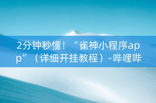 2分钟秒懂！“雀神小程序app”（详细开挂教程）-哔哩哔哩