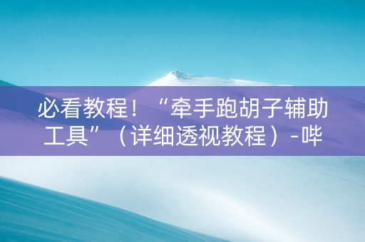 必看教程！“牵手跑胡子辅助工具”（详细透视教程）-哔哩哔哩