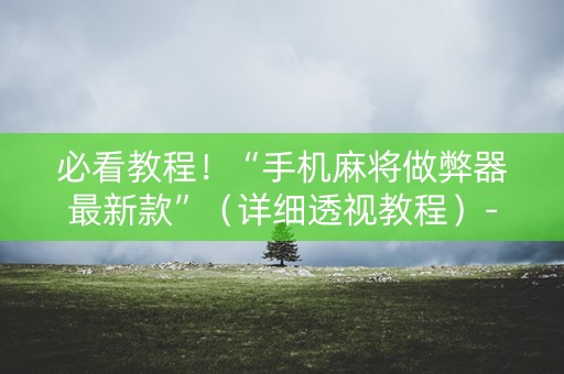 必看教程！“手机麻将做弊器最新款”（详细透视教程）-哔哩哔哩