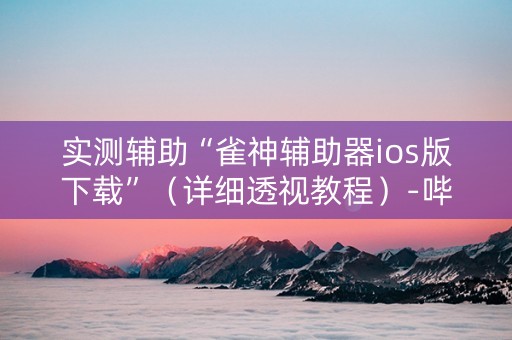 实测辅助“雀神辅助器ios版下载”（详细透视教程）-哔哩哔哩