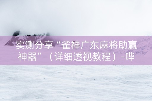 实测分享“雀神广东麻将助赢神器”（详细透视教程）-哔哩哔哩