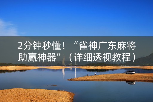 2分钟秒懂！“雀神广东麻将助赢神器”（详细透视教程）-哔哩哔哩