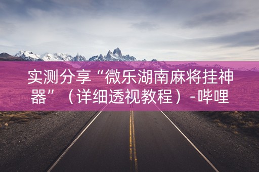 实测分享“微乐湖南麻将挂神器”（详细透视教程）-哔哩哔哩