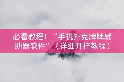 必看教程！“手机扑克牌牌辅助器软件”（详细开挂教程）-哔哩哔哩
