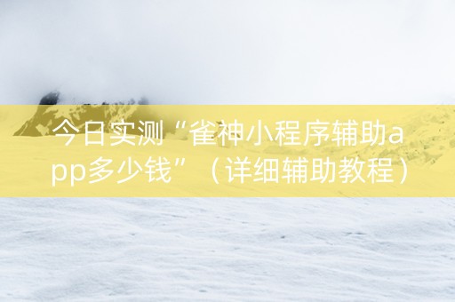 今日实测“雀神小程序辅助app多少钱”（详细辅助教程）-哔哩哔哩