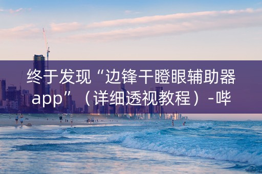 终于发现“边锋干瞪眼辅助器app”（详细透视教程）-哔哩哔哩