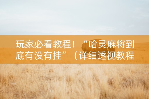 玩家必看教程！“哈灵麻将到底有没有挂”（详细透视教程）-哔哩哔哩