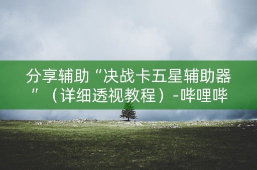 分享辅助“决战卡五星辅助器”（详细透视教程）-哔哩哔哩